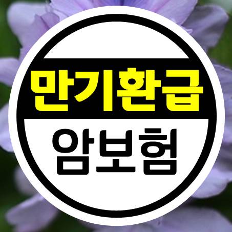  적금처럼 만기환급형암보험 추천받아도 될까?