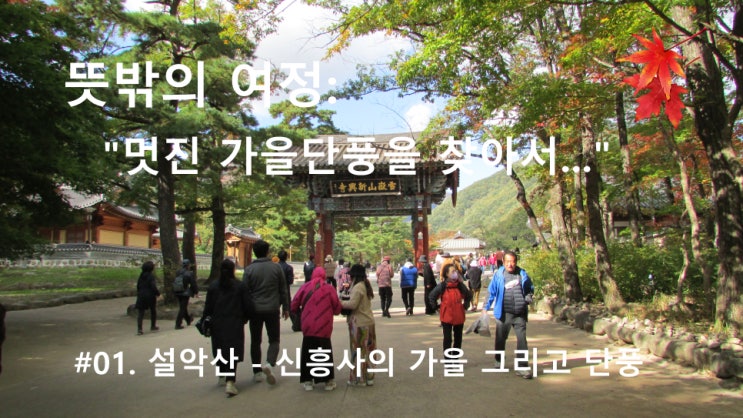 #01. 설악산 - 신흥사의 가을 그리고 단풍 #01. 설악산 - 신흥사의 가을 그리고 단풍