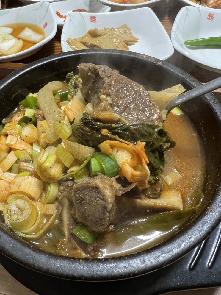  강원도 정선맛집 보문식당 해장국 끝판왕 백반기행 출연