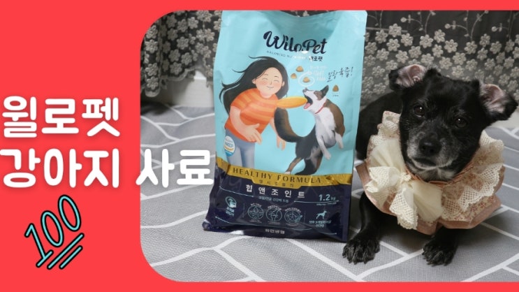 강아지 사료 윌로펫 힙앤조인트 관절사료로 살빼기 돌입 강아지 사료 윌로펫 힙앤조인트 관절사료로 살빼기 돌입