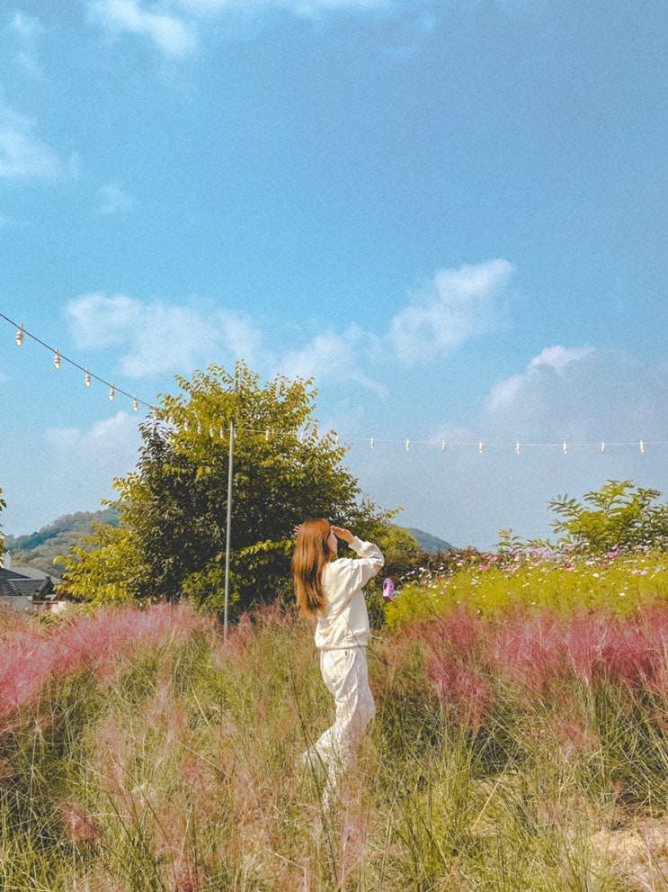  [원주 여행] 친구들이랑 기차타고 1박 2일 여행 코스 완벽 그 잡채