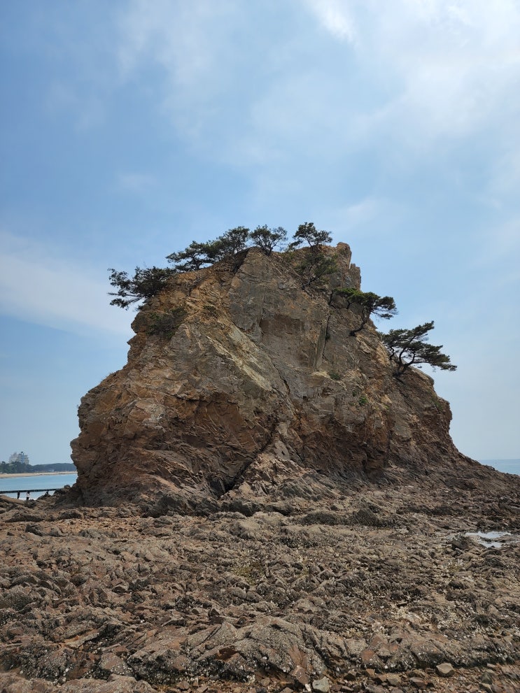  충남안면도 가볼만한곳