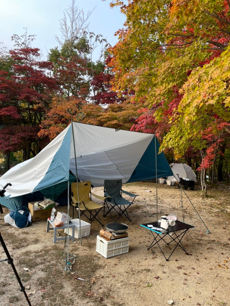 데카트론 2초 암막 텐트(3인)/ MH 프레시 캠핑 타프 XL 사용 후기 : 네이버 블로그