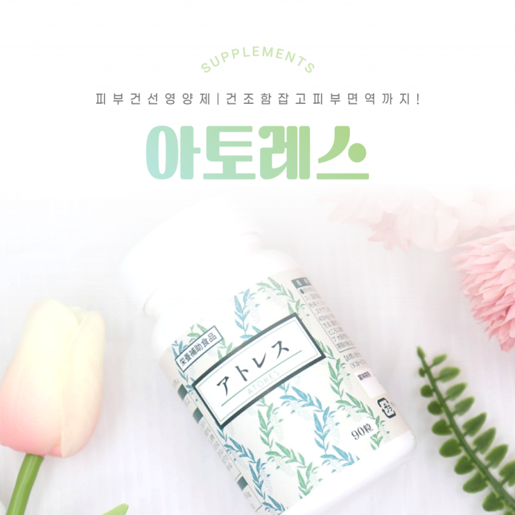 피부건선영양제 아토레스 가을철 건조함 해결하기