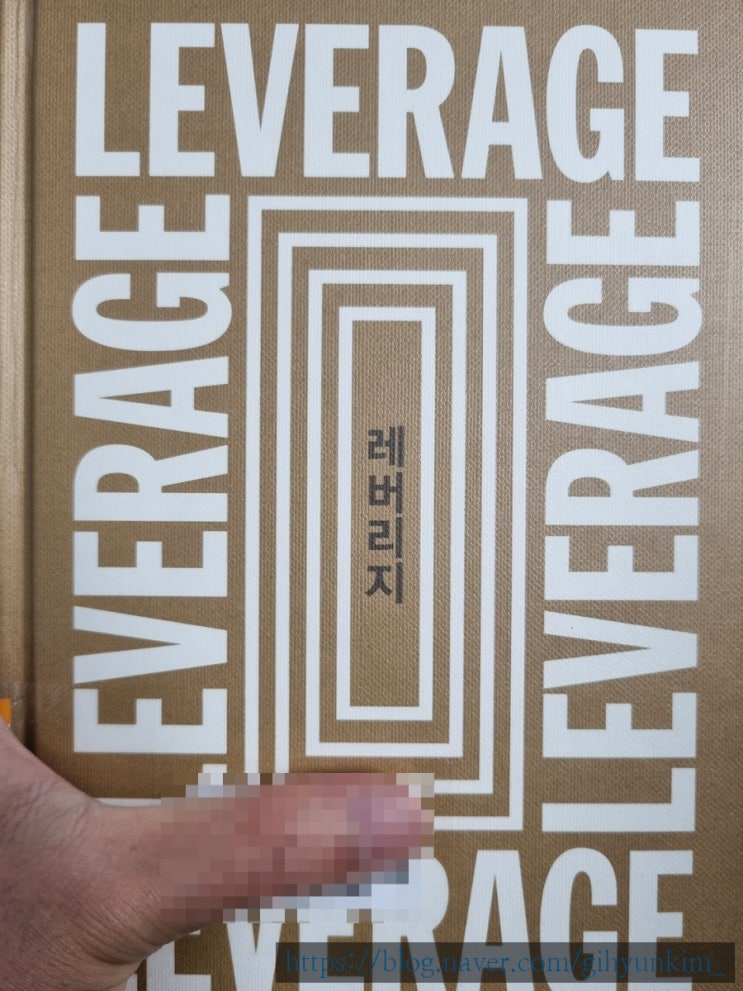  레버리지(지렛대 효과) 활용하기