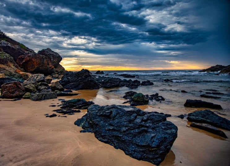  신나는 호주 여행 오늘은 Port Macquarie 포트 맥콰리 3탄 입니다.