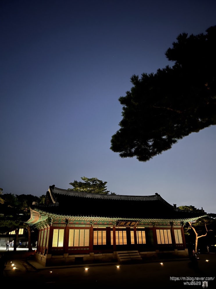  창경궁 야간투어 인문학산책 가이드 해설 후기