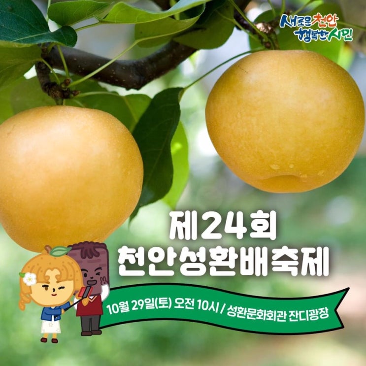 제24회 성환배축제10월 29일(토) 오전 10시 성환문화회관 잔디광장 | 천안시청페이스북