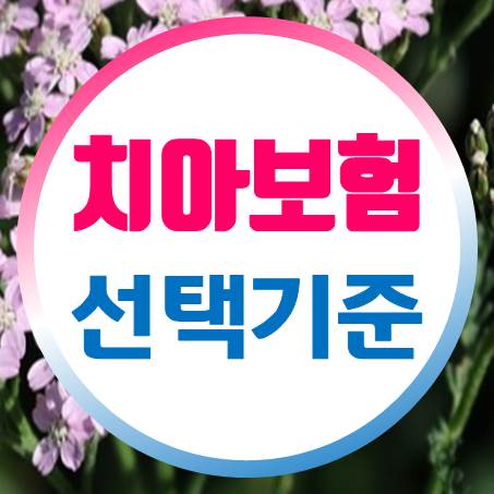  유아 치아보험 선택 기준은 뭘까?