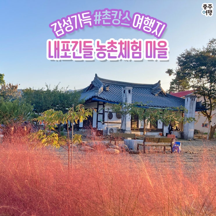  충주체험｜농촌체험마을, 촌캉스 힐링은 바로 여기!! - 내포긴들 체험마을