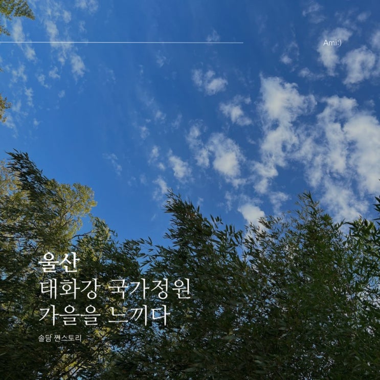  울산 태화강국가정원 도심 속에서 가을 느껴보자