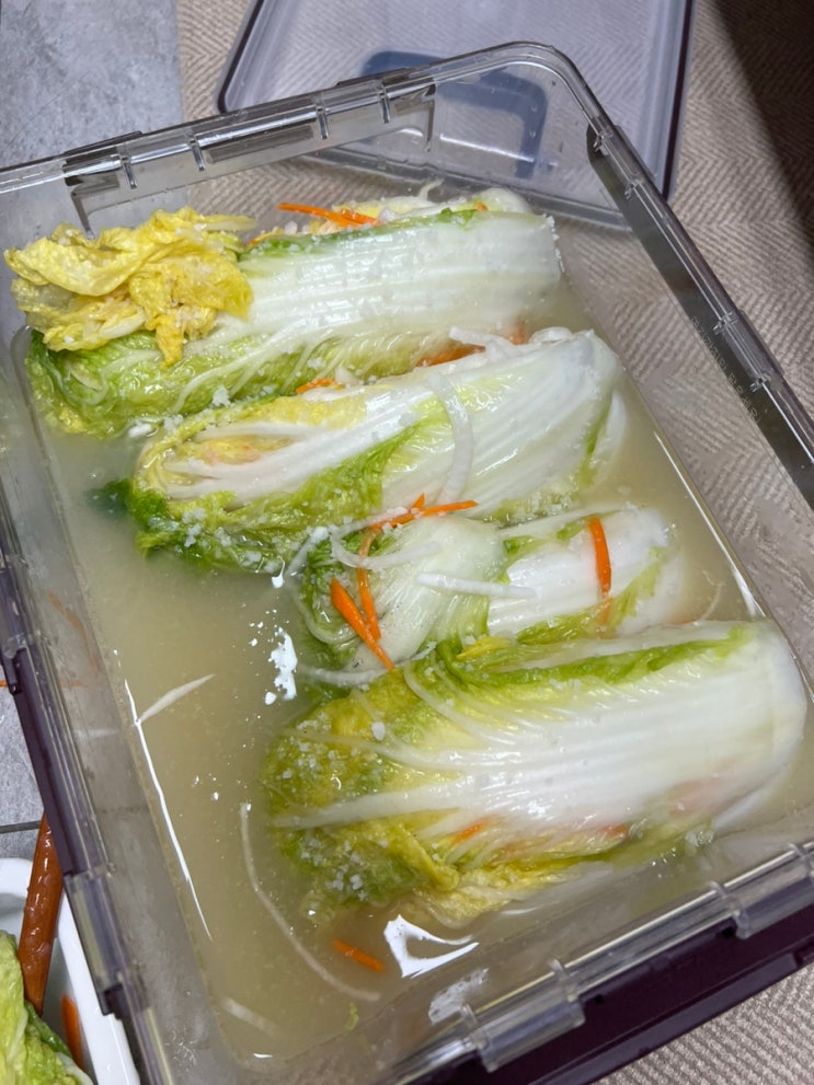  아이도 함께 먹을 수 있는 No 설탕 동치미 백김치 일타쌍피 황금레시피