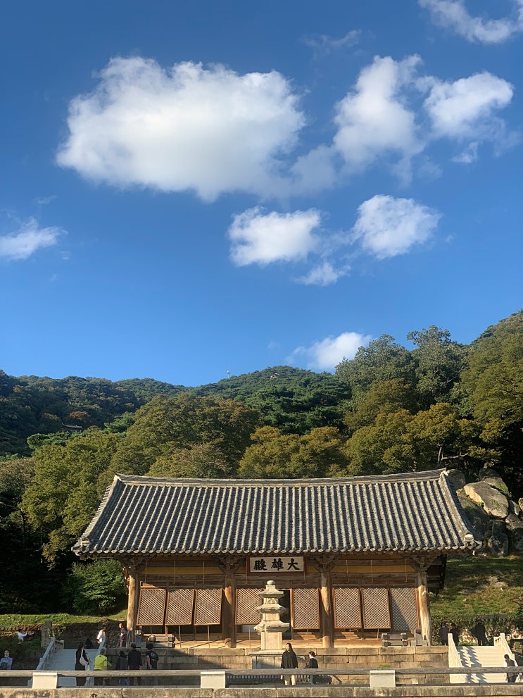  [충남 예산 가볼만한곳] 부모님과 가기좋은 풍경이 아름다운 '수덕사'(입장료/볼거리)