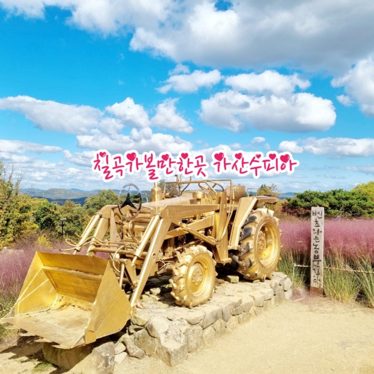  칠곡가볼만한곳 가산수피아 feat 핑크뮬리성지