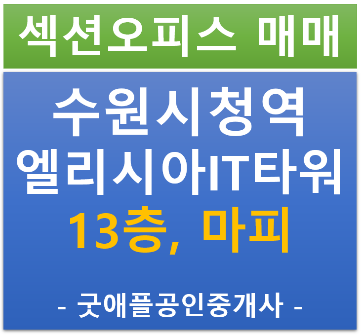 수원 인계동, 수원시청역 엘리시아 IT타워, 섹션 오피스 13층 마피 전매