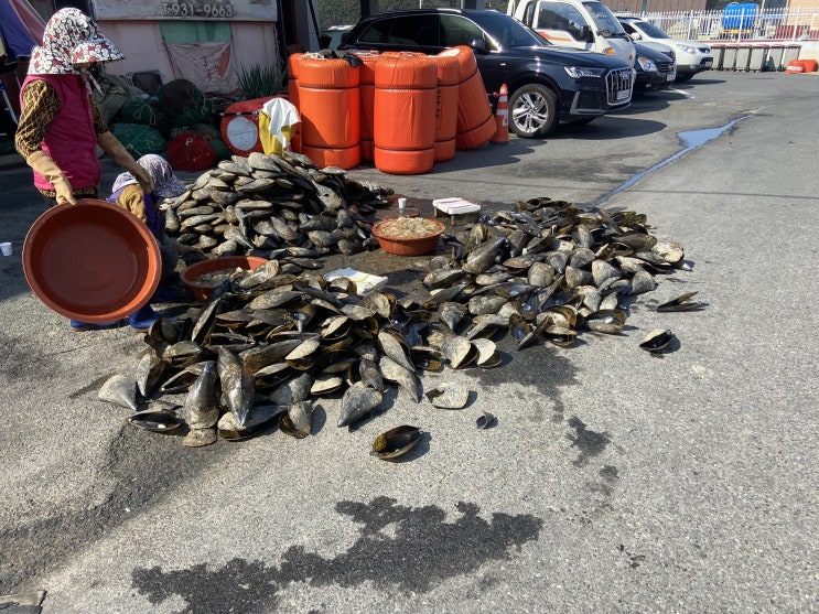  스칸디캠프팜 캠핑장 후기!