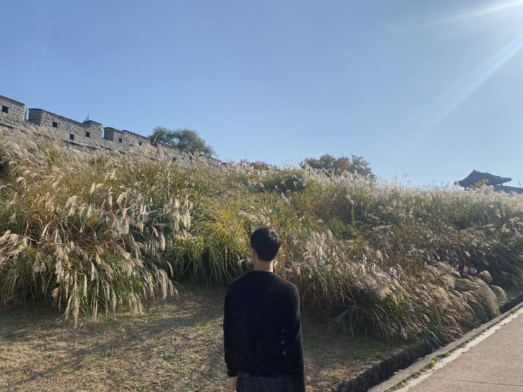 행궁동 화서공원 억새보며 산책, 수원역 잔잔 주말 웨이팅