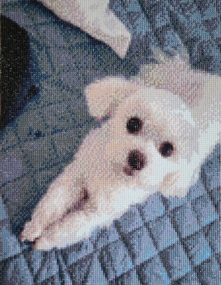  주문제작 보석십자수(토리)