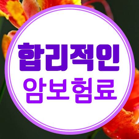  나에게 적당한 암보험료 얼마일까?