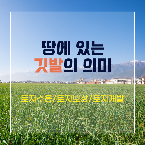 땅에 있는 깃발의 의미 (토지수용/토지보상/토지개발)