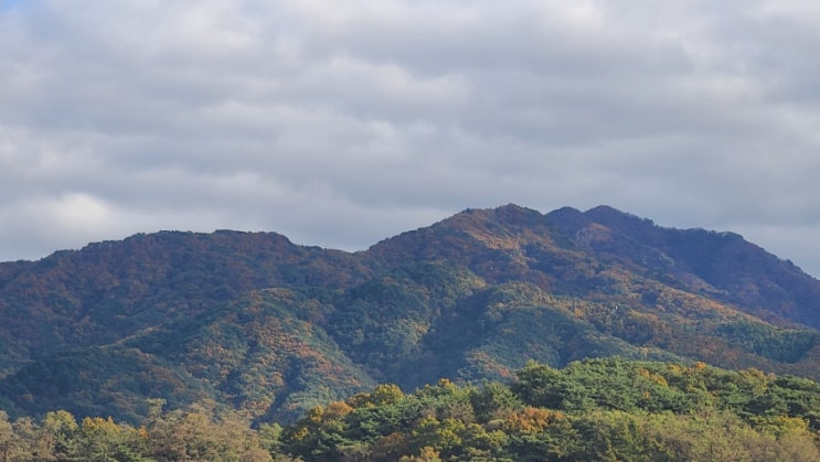 모시골에서 바라본 치악산 단풍