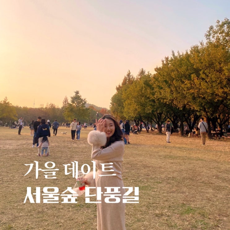  서울숲 단풍, 주차장 꿀팁 가을 데이트로 딱 좋아!