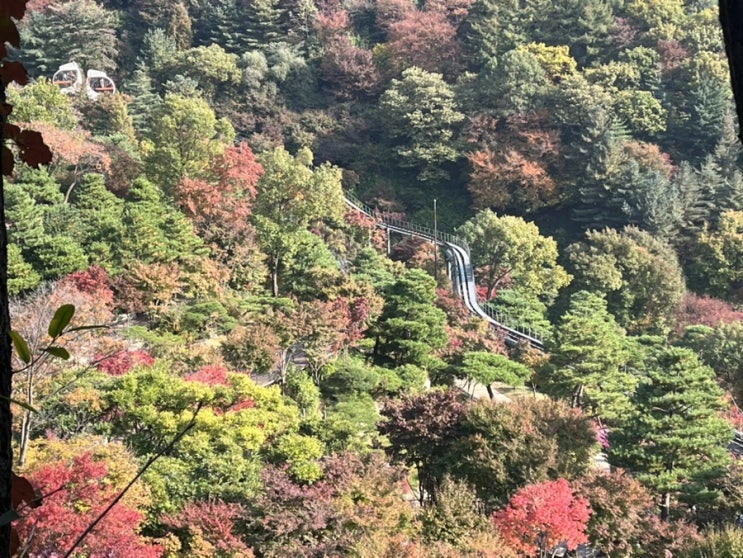 화담숲 :: 서울 근교 단풍구경, 모노레일 예약 팁, 포토스팟 정보