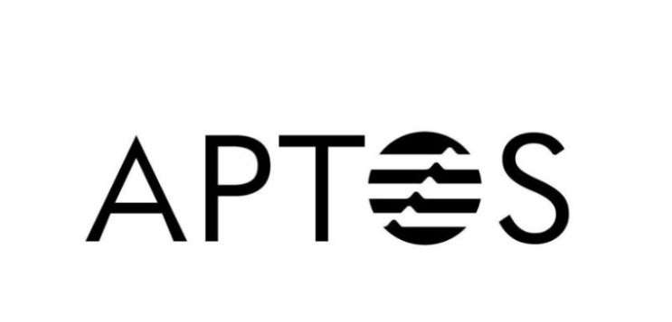  앱토스 열풍, 어떻게 대응해야 할까? APTOS NFT APT