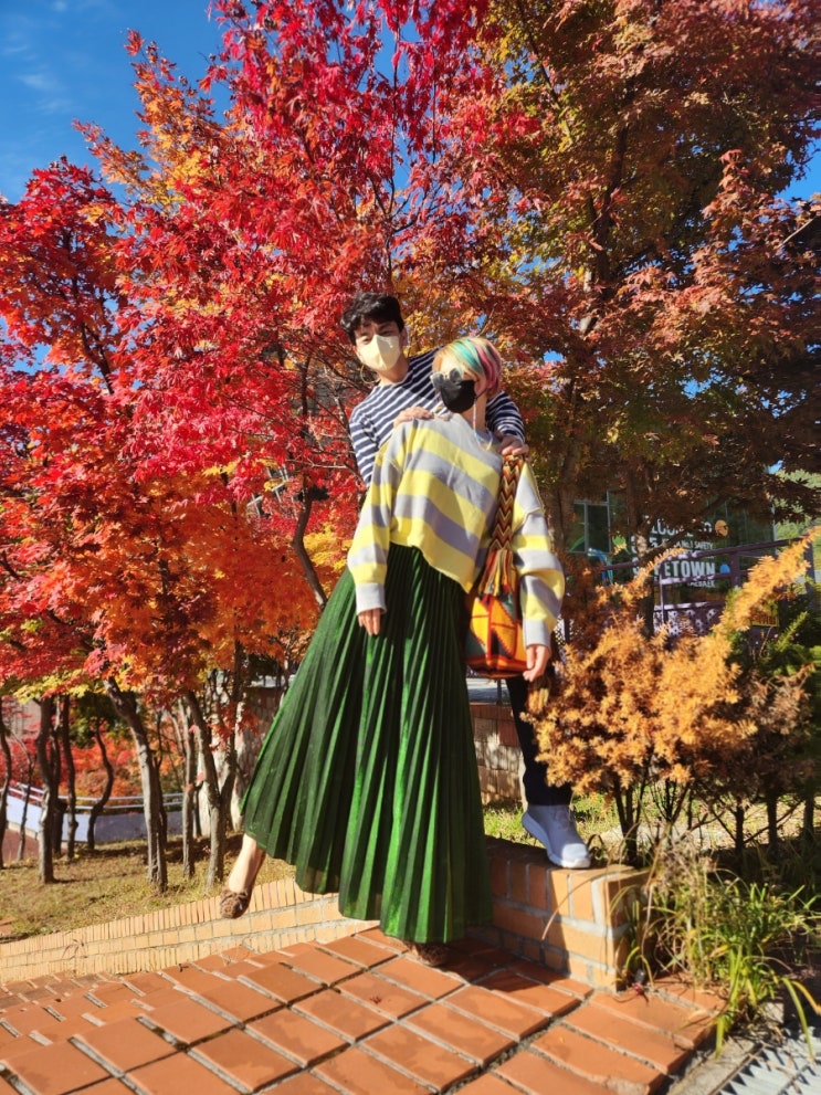  태백의 가을가을 했던날