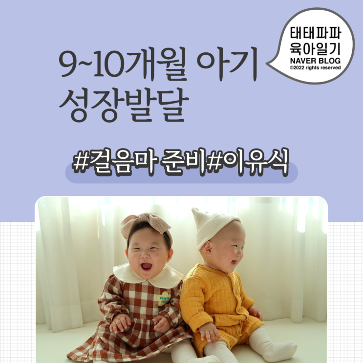  9개월~10개월 아기 발달, 걸음마 보조기