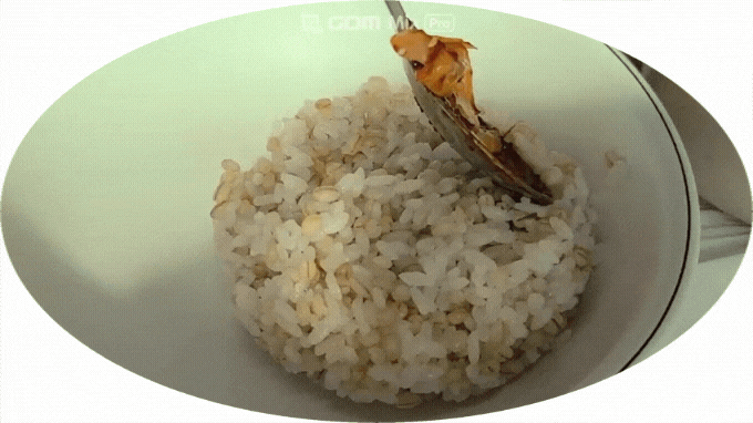  강원도 정선여행/정선아라리공원맛집 아리아리불향쭈꾸미