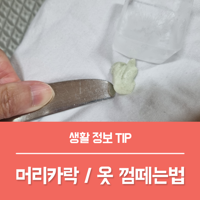  껌떼는법 7가지, 옷에 묻은 껌 머리카락 껌제거 하기