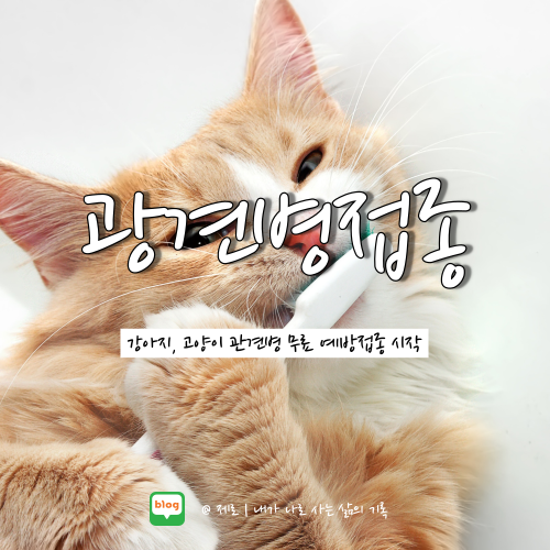  강아지 고양이 광견병 무료 예방접종 기간 알아보자