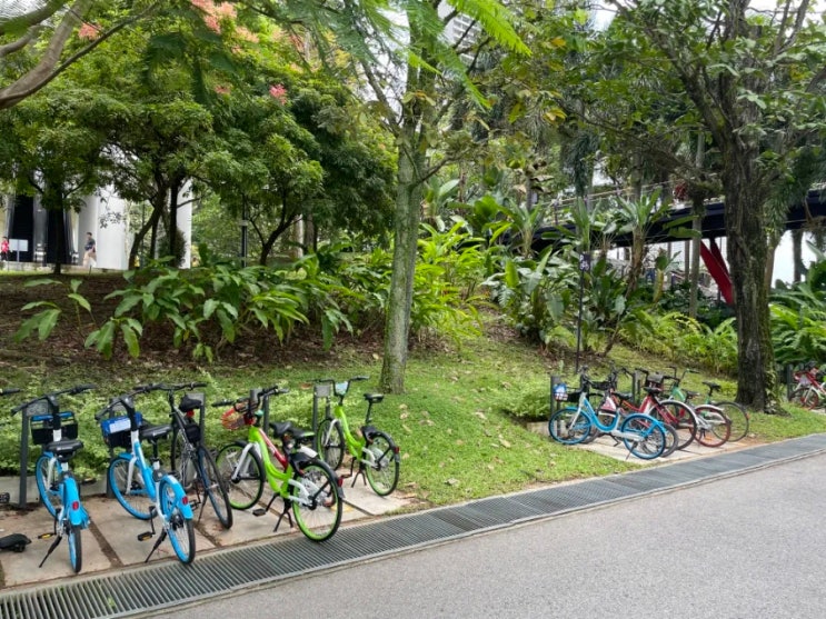 싱가포르 가든스 바이 더 베이(클라우드 포레스트 + 플라워 돔 + 플로랄 판타지) 가는 방법, 교통편 및 운영시간