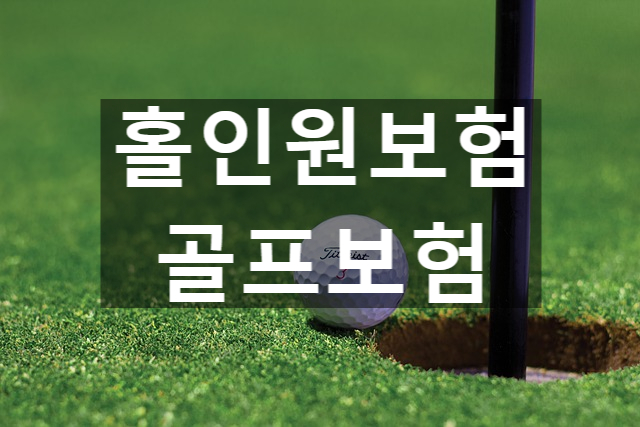  홀인원보험 알차게 준비하는 방법