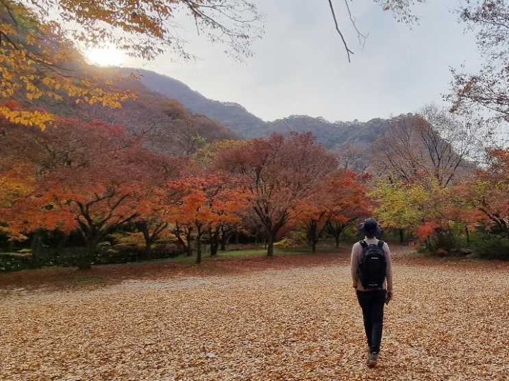  22년 가을 국립공원 산림청 산불방지 기간 출입통제 공고 및 통제구간