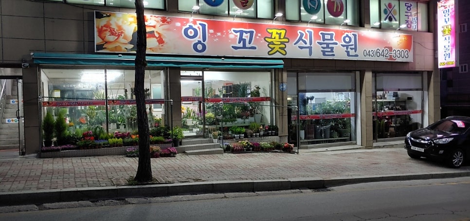 잉꼬꽃식물원 사진 4