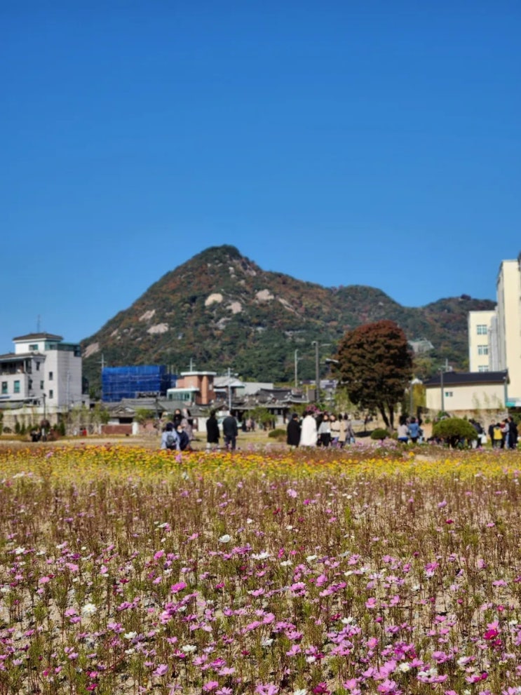 종로구 <b>안국역</b> 열린송현 녹지광장 : 110년 <b>폐쇄</b> 되었던 공원... 