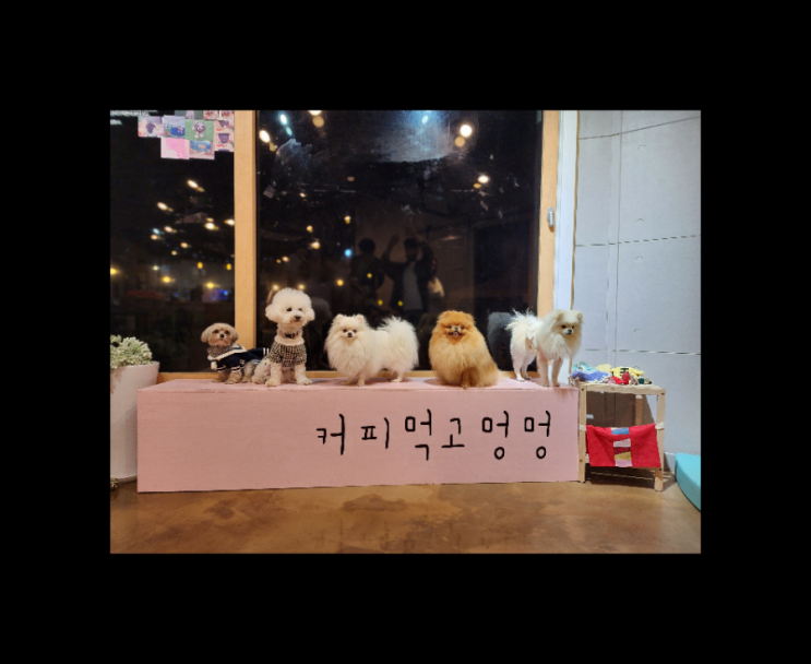  오프리쉬 가능하고 분위기 좋은 용인애견카페 겸 캠핑바베큐식당 커피먹고멍멍