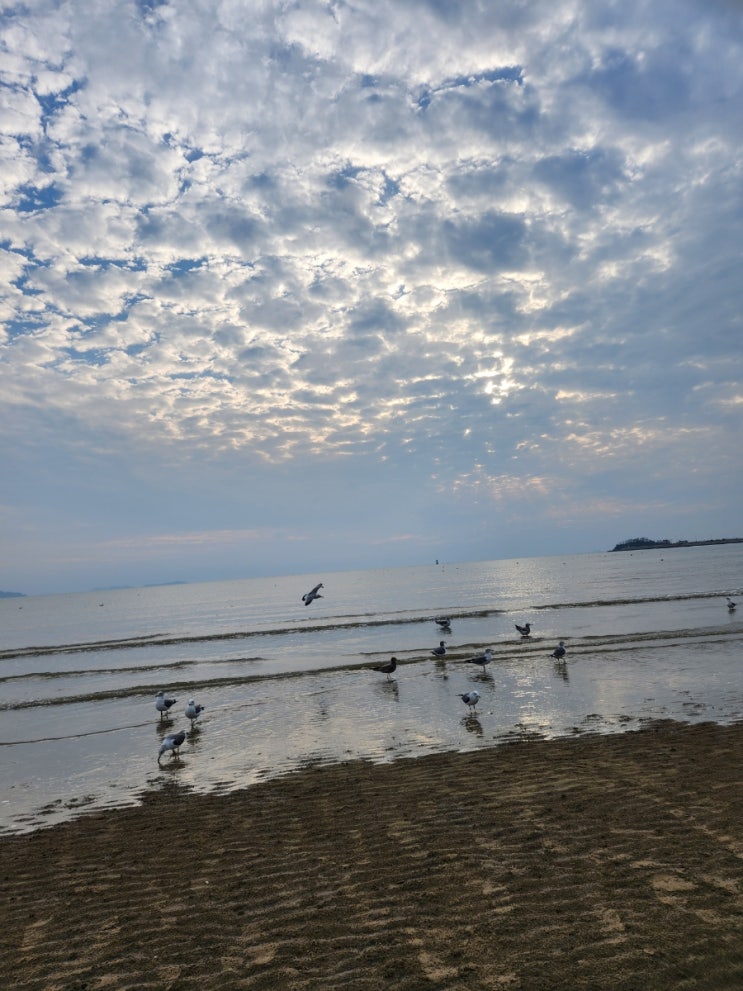 태안 몽산포, 기지포 해수욕장 2박 3일 가족 여행