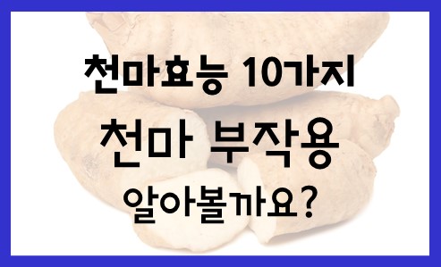  천마효능 10가지 및 천마 부작용