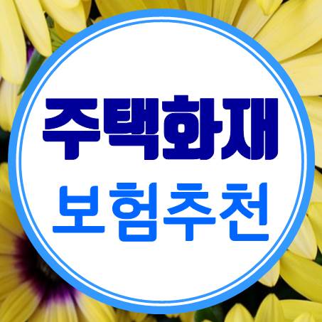  1만 원대 주택화재보험가격, 보장이 부족하지 않을까?