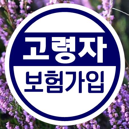  다양해서 고르기 어려운 고령자보험, 어떻게 선택해야 할까?