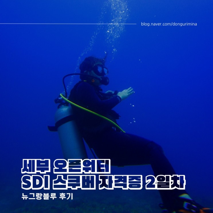 [세부 자유여행] 오픈워터 스쿠버다이빙 SDI 자격증 뉴그랑블루 후기 2탄