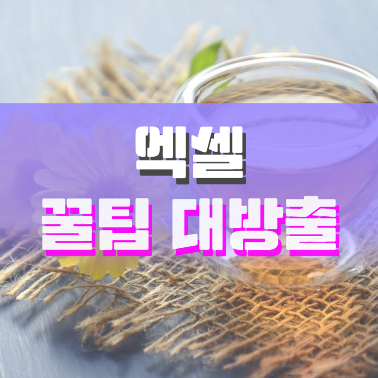 엑셀 꿀팁 대방출합니다 엑셀 꿀팁 대방출합니다