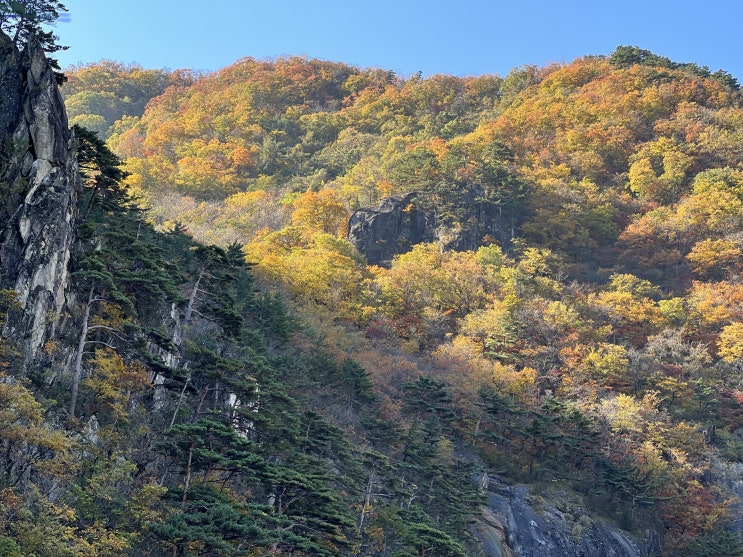  진득하게 느껴본 올해 가을,