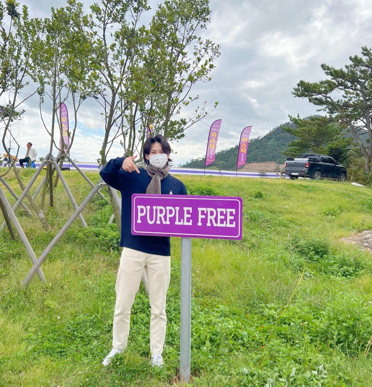  전남 신안 여행 ) 신안 퍼플섬 + 기동 삼거리 벽화 (동백나무 파마머리 벽화, 카페, 주차장, 무료입장 꿀팁 총정리!!)