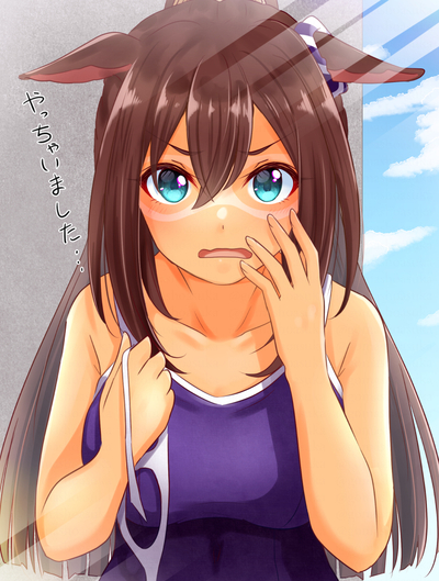마이니치 왕관, 올커머스, 텐노상(가을) 우마무스메 레이스 개최시기와 정보 마이니치 왕관, 올커머스, 텐노상(가을) 우마무스메 레이스 개최시기와 정보