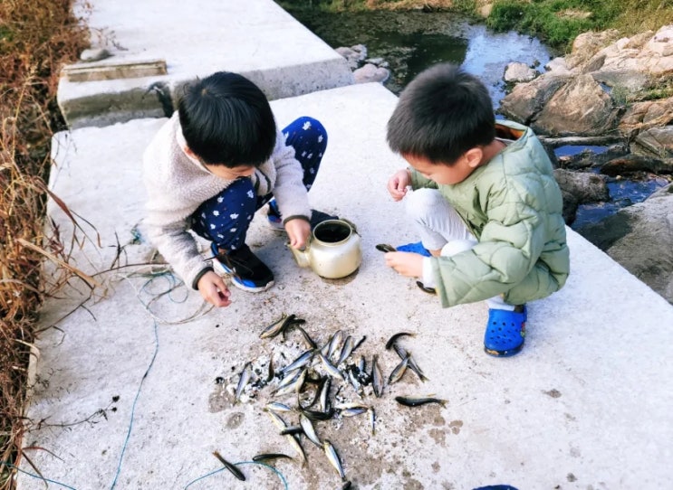  물고기가 가득 할 통발을 꿈꾸며, 호호형제 아침 통발 건지기 체험(2탄)