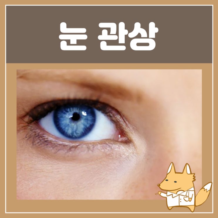  얼굴 관상 눈 관상 삼백안 사백안 눈 사시